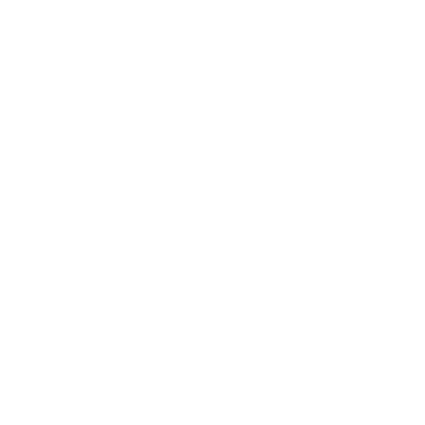 Wiese Visuals Logo weiß transparent dick
